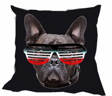 Kissen - Bulldogge - Brille - SWR Kissen - Bulldogge - Brille - SWR